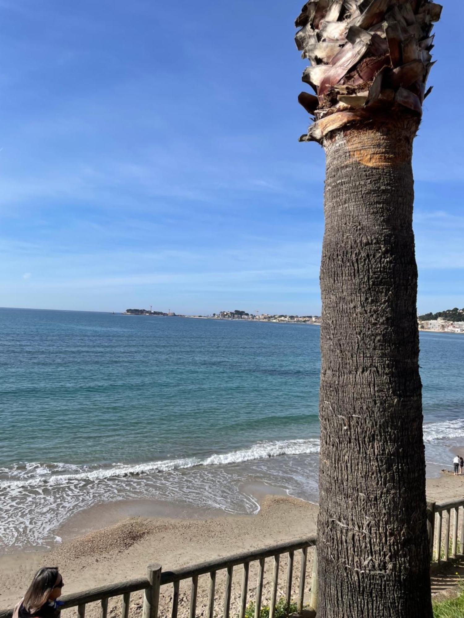 Studio Climatise Piscine Et Proche Plage Sanary-sur-Mer Exterior foto